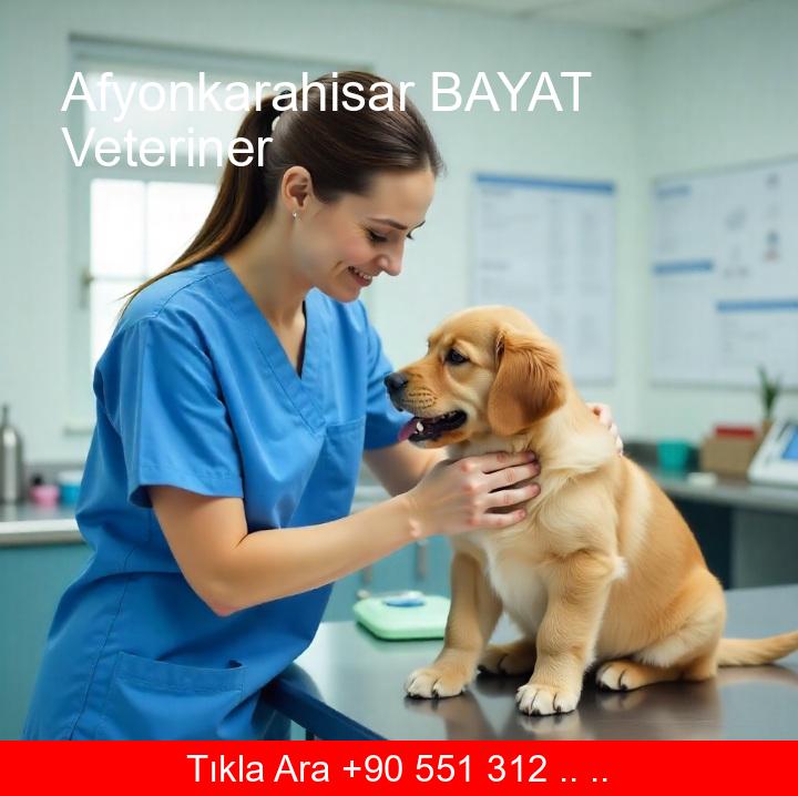 Afyonkarahisar