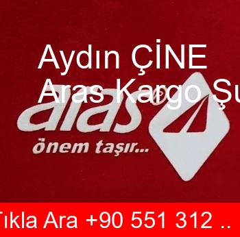Aydın