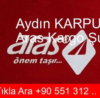 Aydın